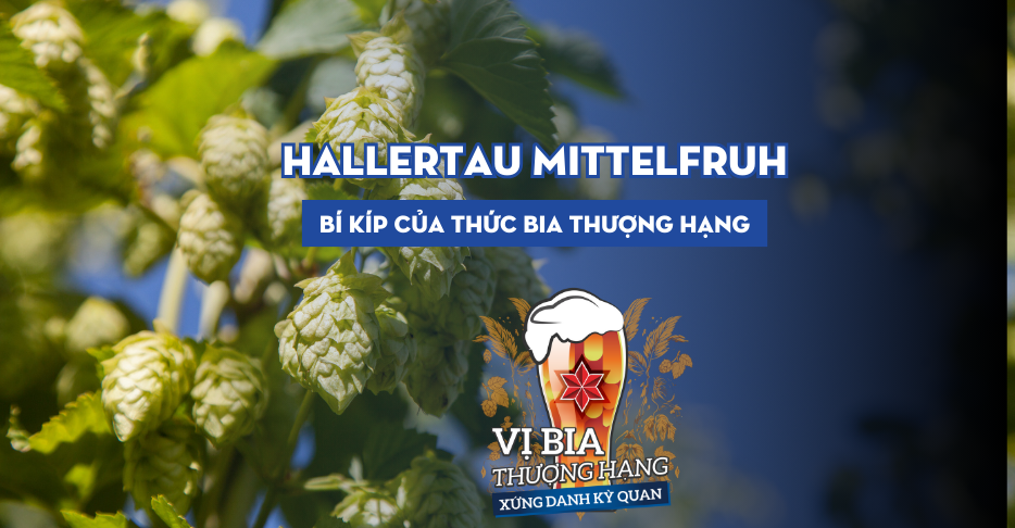 Hallertau Mittelfruh - Bí kíp của thức bia thượng hạng